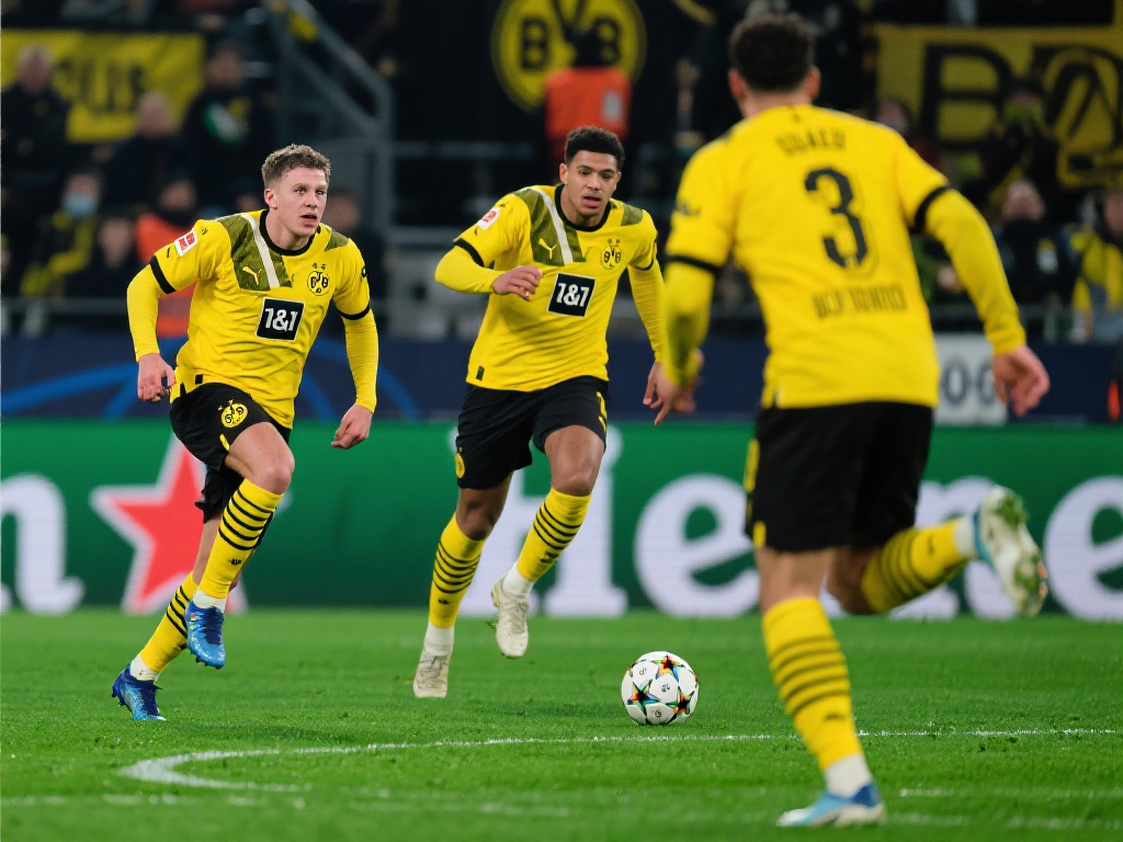 而是学会与 而是学会与