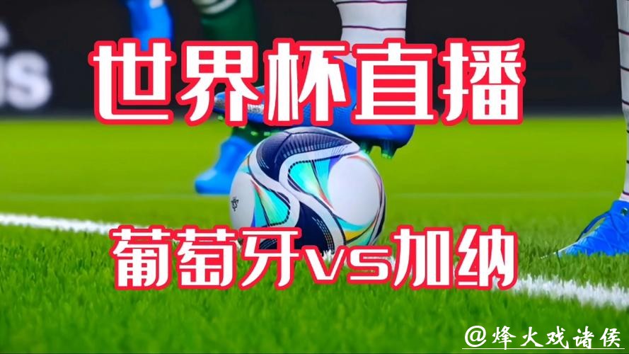 世界杯直播高清视频下载方法分享 世界杯直播高清视频下载方法分享